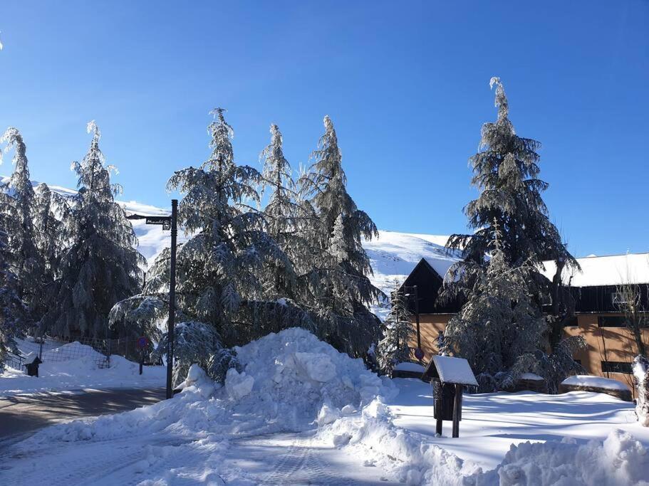 Sierra Nevada 2 Habitaciones Excelente Ubicacion מראה חיצוני תמונה